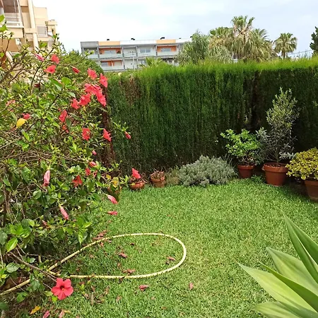 Agradable En Marinas * Denia