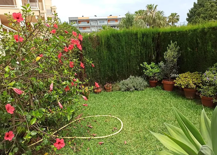 Agradable En Marinas * Dénia